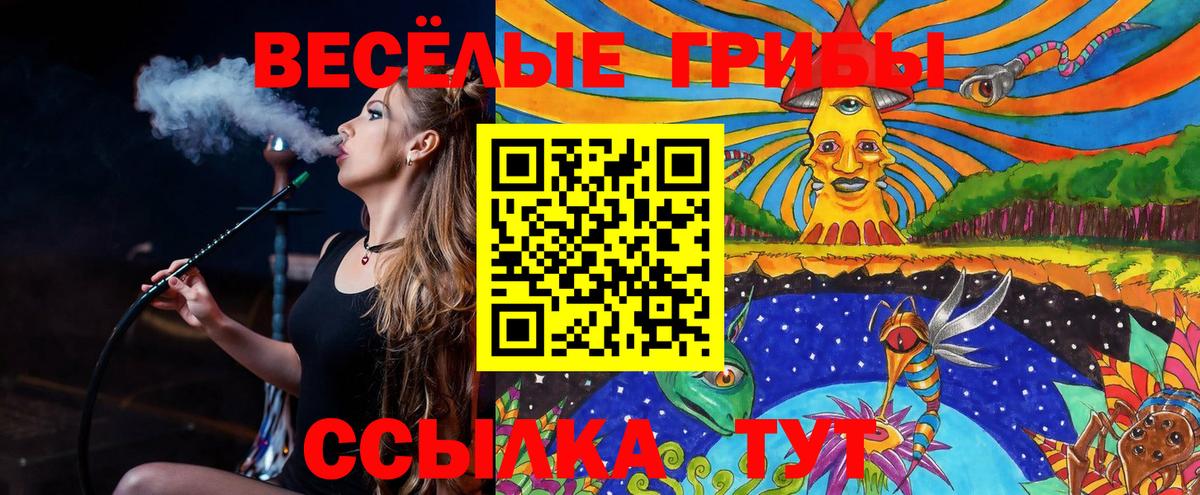 Галлюциногенные грибы MAGIC MUSHROOMS  Вход с VPN  Казань 